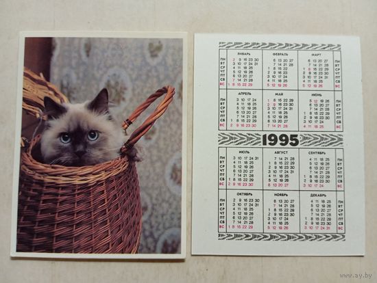 Карманный календарик. Котик. 1995 год