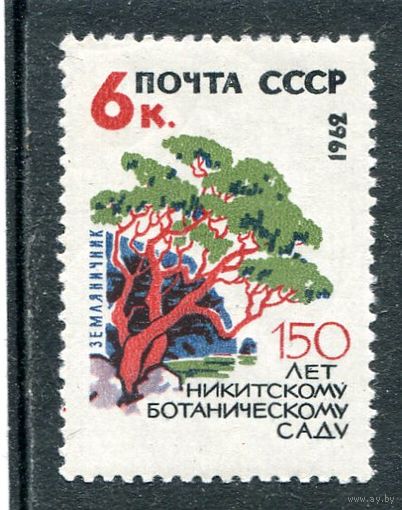 СССР 1962. Никитинский ботанический сад. Канна