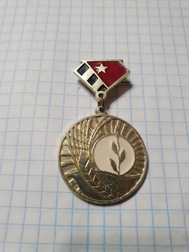 Значок-медаль ,,30-годзе вызвалення Быхаўскага раёна ад нямецка-фашысцкіх захопнікаў 1944-1974''.
