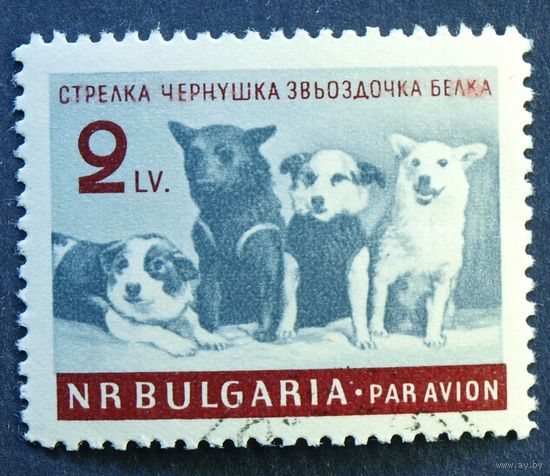 Болгария 1961 Собаки в космосе Космос Одиночка фауна