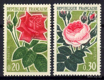 1962 Франция. Розы