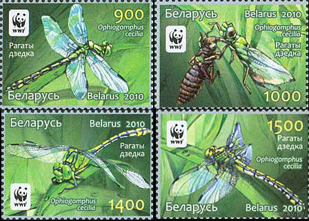 Рогатый дедка WWF Беларусь 2010 год (850-853) серия из 4-х марок