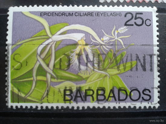 Барбадос 1974 Орхидея