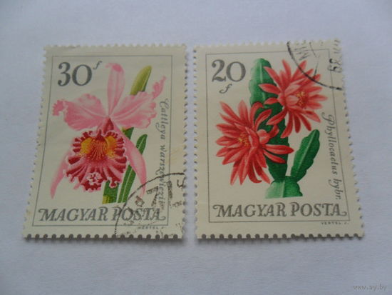 Венгрия 1965г, кактусы