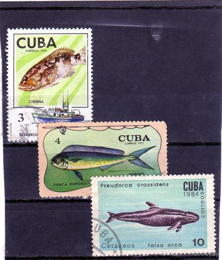Куба.  Mi:CU 2032. Группер (Epinephelus sp.). Траулер. Развитие рыбной промышленности. 1975.
