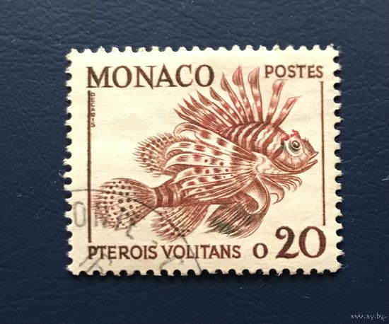 Монако 1960 год Фауна Рыбы(1960) Mi:652 Гашеная