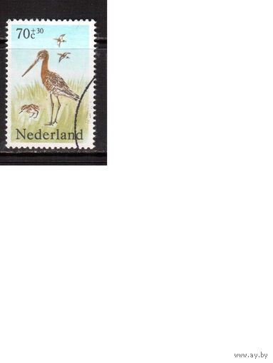Нидерланды-1984,(Мих.1249) ,  гаш.,   Фауна, Птицы