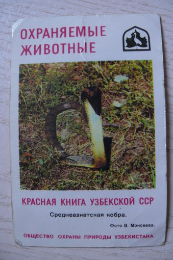 Календарик, 1985, Среднеазиатская кобра, из серии "Охраняемые животные. Красная книга Узбекской ССР".