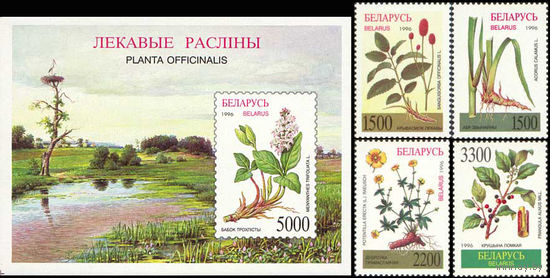 Лекарственные растения Беларусь 1996 год (169-173) серия из 4-х марок и 1 блока