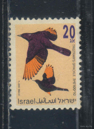 Израиль 1995 Певчие птицы Тристрам Стандарт #1249
