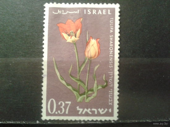 Израиль 1963 Цветы