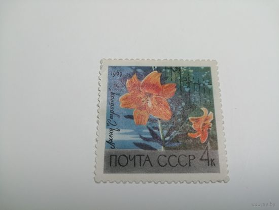 1969 СССР. Главный ботанический сад Академии наук в Москве.