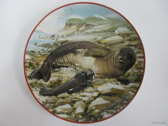Тарелка настенная рельефная Тюлени.