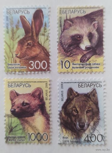 Беларусь 2008, фауна Беларуси