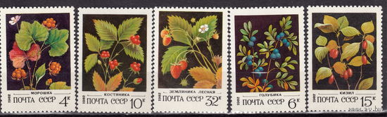 СССР 1982 Дикорастущие ягоды полная серия (ААА)