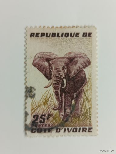 Кот-д'Ивуар 1959. Слон