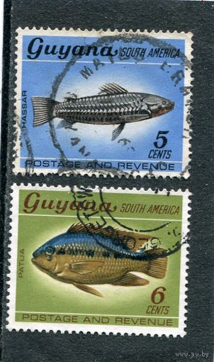Гайана. Рыбы