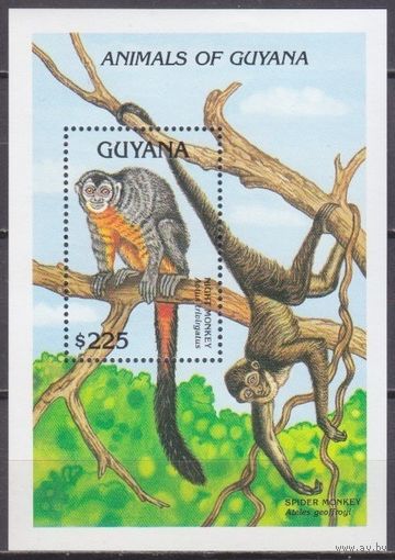 1992 Гайана 3881/B202 Фауна - Обезьяны 6,50 евро