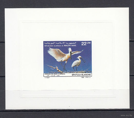 Фауна. Аисты. Мавритания. 1986. 1 люкс-блок (картон). Michel N 901 (- е)