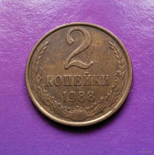 2 копейки 1988 СССР #08