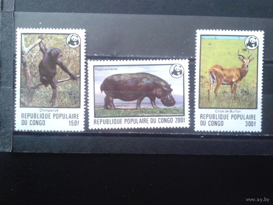 Конго 1978 Фауна WWF** Михель-28,0 евро