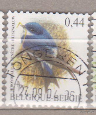 Птицы Бельгия 2004 год лот 1072