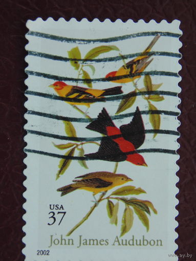 США 2002г. Птицы.