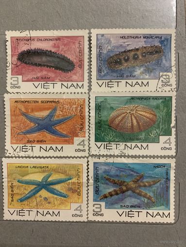 Вьетнам 1985. Морские звезды