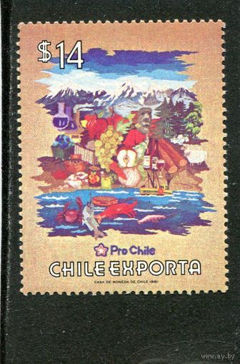 Чили. Экспорт чилийских товаров