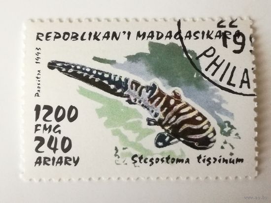 Мадагаскар 1993. Рыбы. Акулы