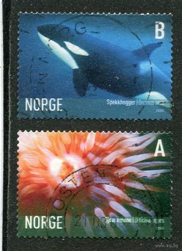 Норвегия. Морская фауна, вып.2