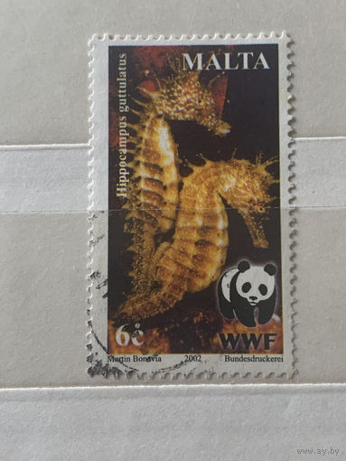 Мальта 2002. Морские коньки