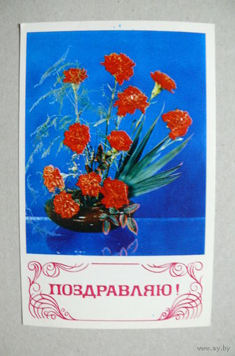 Егорова З., Шамшин К.(фото), Поздравляю! 1974, подписана.