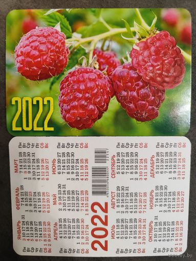 Календарик малина 2022