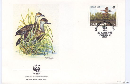 КПД, WWF, Багамы,  Кубинская свистящая утка,1988