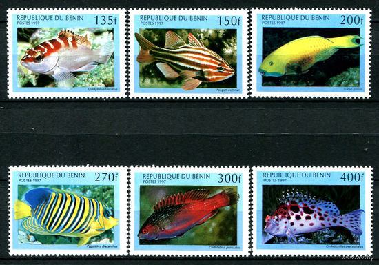 Бенин - 1997г. - Рыбки - полная серия, MNH [Mi978-983] - 6 марок