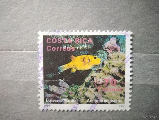 Коста-Рика.1994г. Фауна.