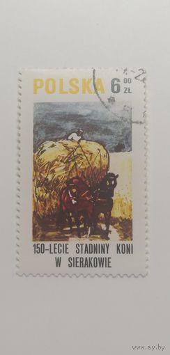 Польша 1980.  150-летие верховой езды в Серакуве