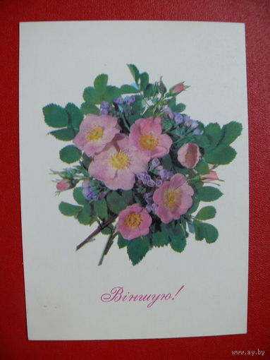 Фото Дергилева И., Поздравляю! (на белорусском языке), 1991, подписана (машинотекст).