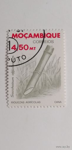 Мозамбик 1981. Сельскохозяйственные ресурсы