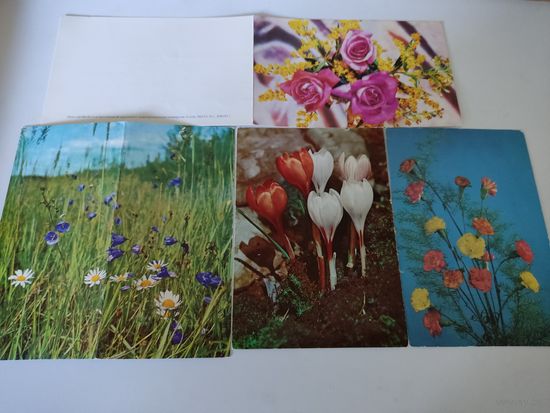 2 простые и 2 двойные открытки СССР с цветами