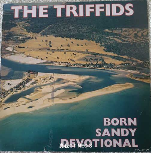 Пластинка The Triffids Born sandy devotional 1986