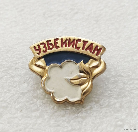 Значок. Узбекистан. Хлопок #0685-CP12
