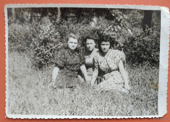 Фото трех девушек. 1950-е. 8.5х12 см.
