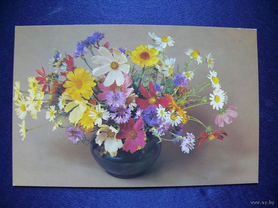 Фото Савалова Е., Композиция из цветов, 1983, чистая.