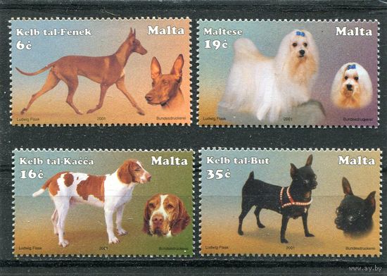 Мальта. Породы собак