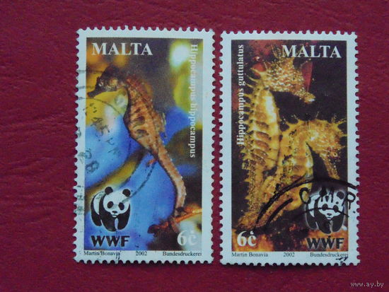 Мальта  2002г. Морская фауна.