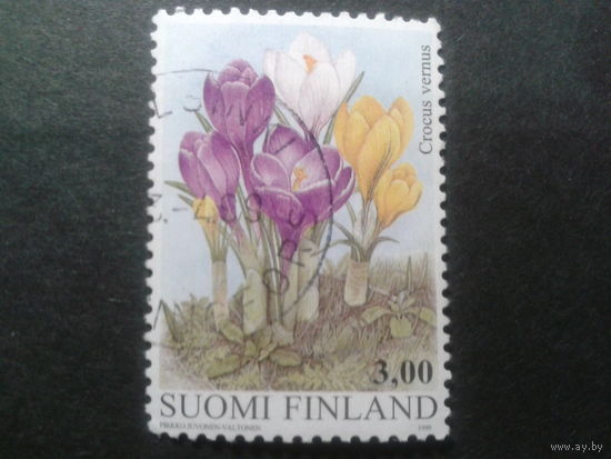 Финляндия 1999 цветы