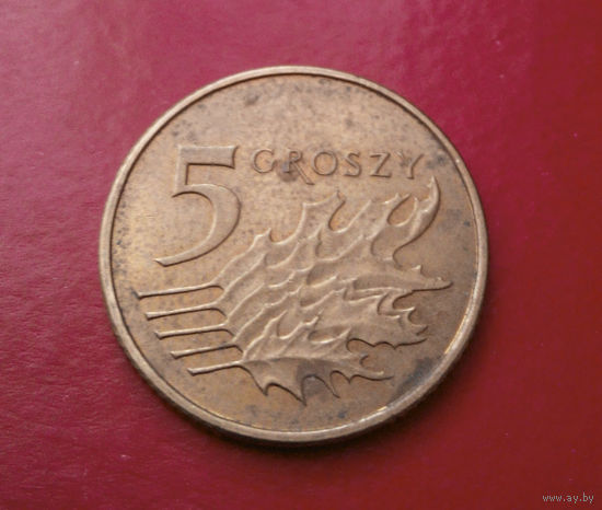 5 грошей 2011 Польша #02