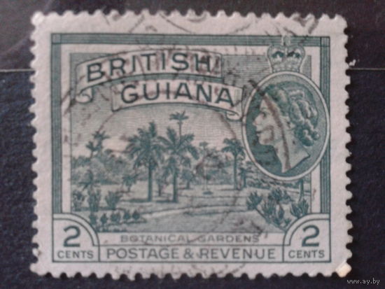 Гайяна, колония Англии 1954 королева Елизавета 2, ботанический сад